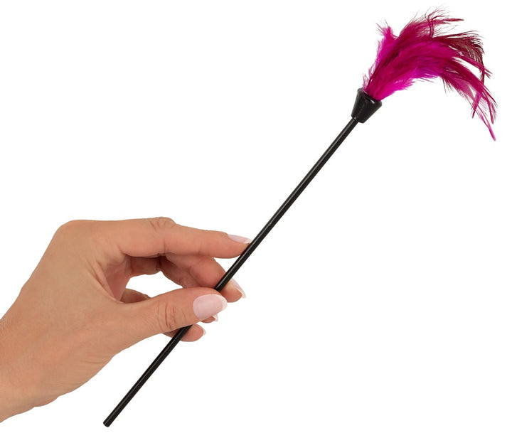 Bondage & Legetøjs Start Sæt