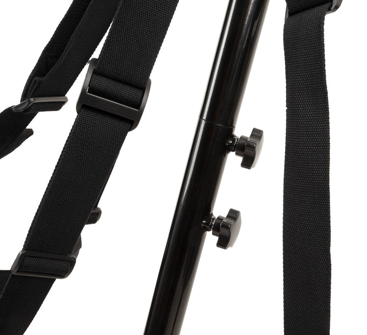 Fritstående Sexgynge