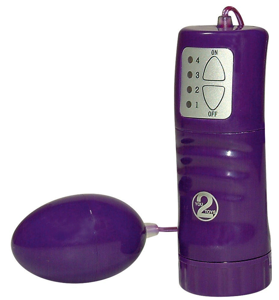 Purple Love Toy Set – 9-Piece Starter Kit for Diverse Pleasure