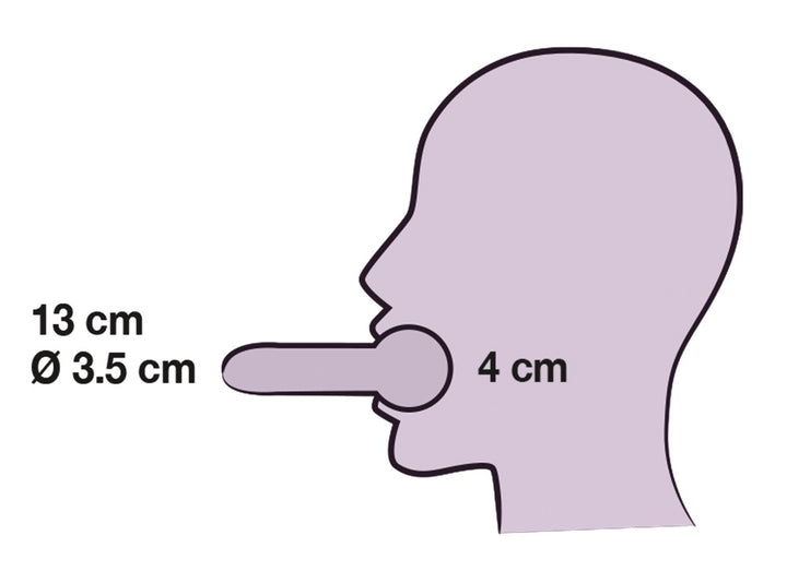 Læder Head Strap Harness – 2-i-1 Gag & Dildo