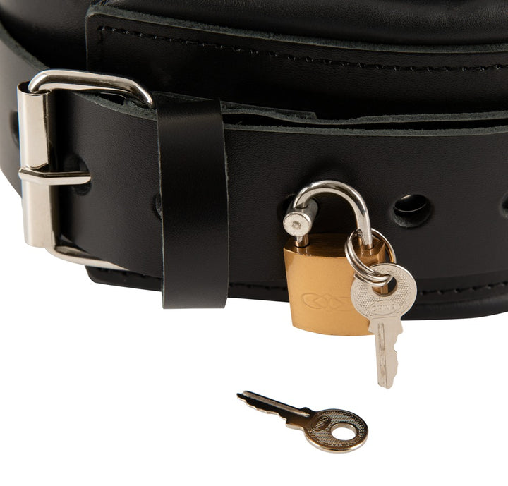 ZADO Professionel Læderkrave med Line - EternaNordic