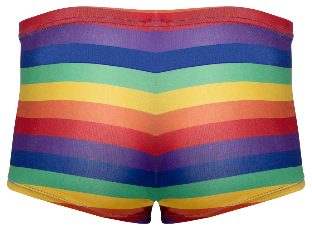Rainbow Stripe Boxer Briefs – Svenjoyment
