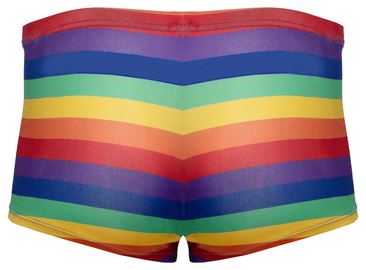 Rainbow Stripe Boxer Briefs – Svenjoyment