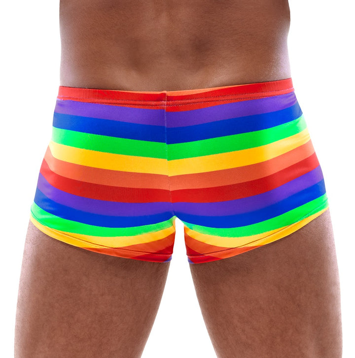 Rainbow Stripe Boxer Briefs – Svenjoyment