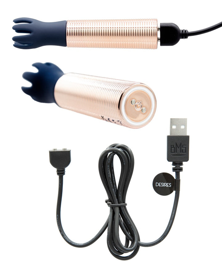 Pillow Talk Desires 6-delt mini vibrator-sæt med bullet og fem hoveder